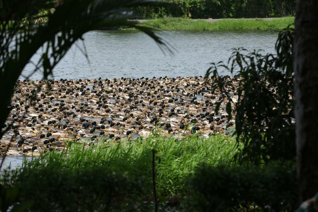 Green Palace Ayurveda Resort, Alleppey Alappuzha Exterior foto